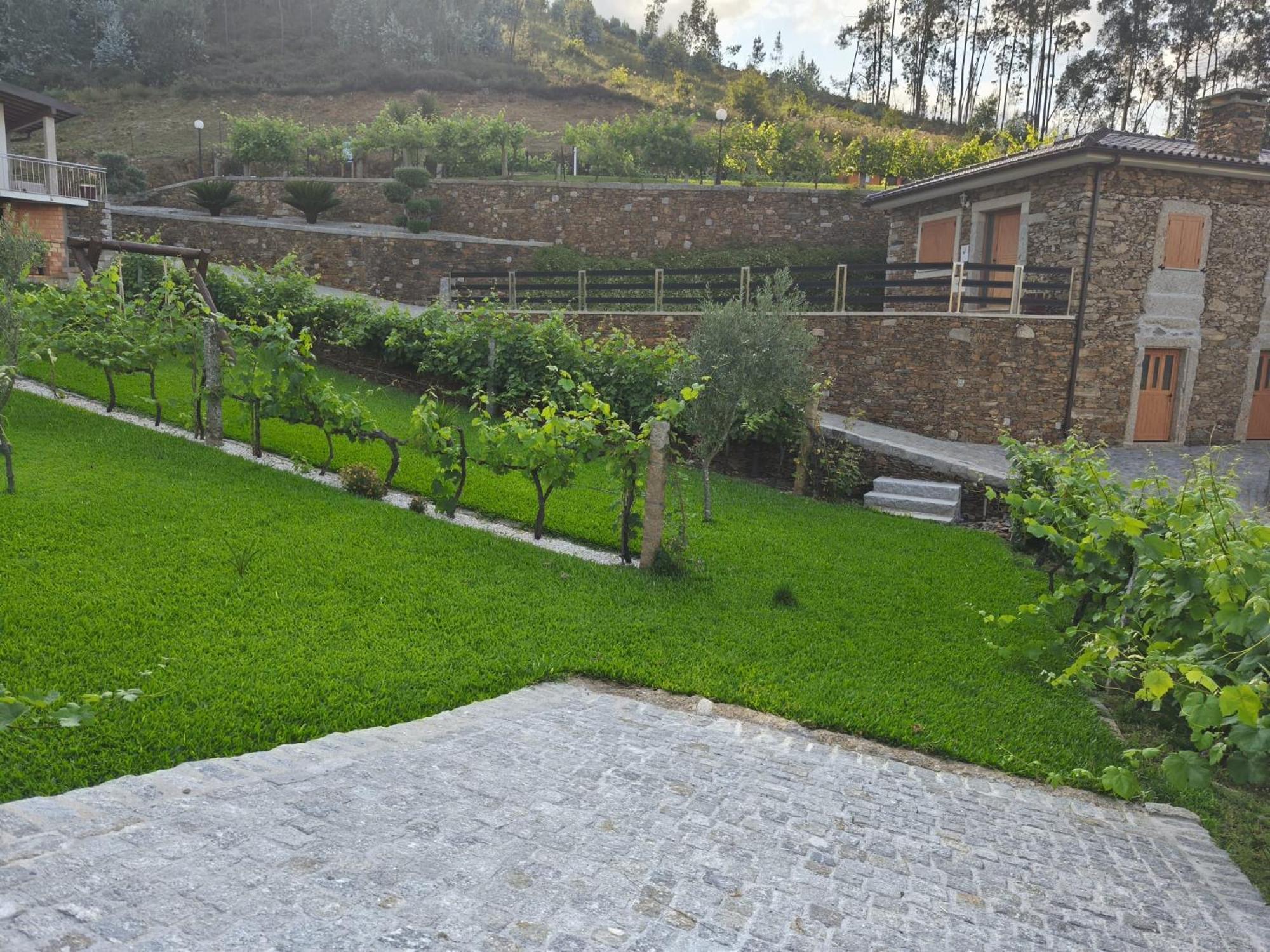 קסטלו דה פייבה Estudio De Amor מראה חיצוני תמונה
